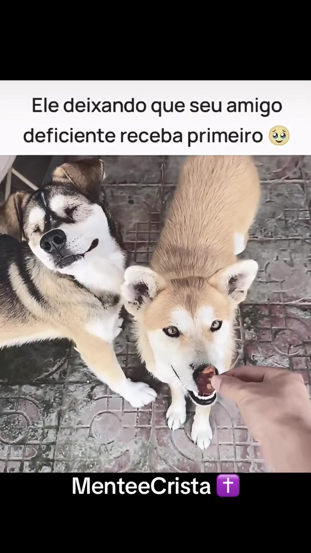 @MenteeCrist&atilde;✝️