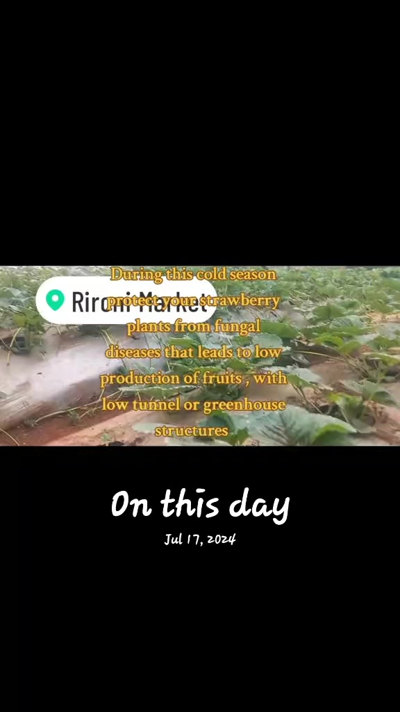 @Agri-Irrigation Africa Limited