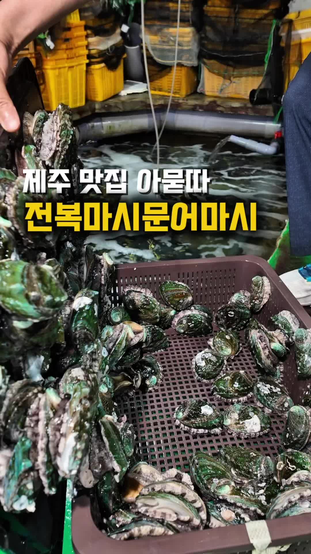 @jjongrrr