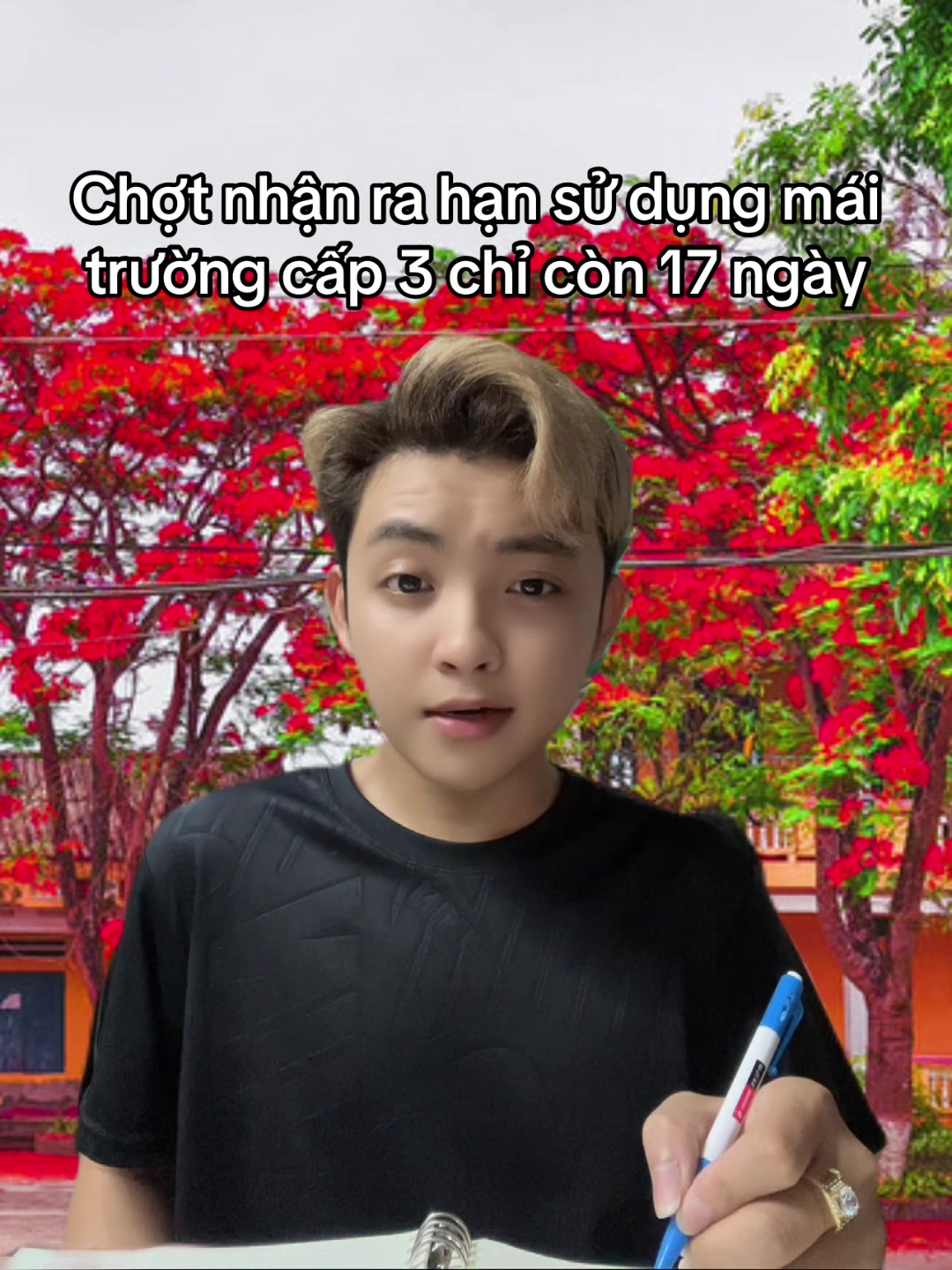 @𝗧𝗔𝗟𝗢