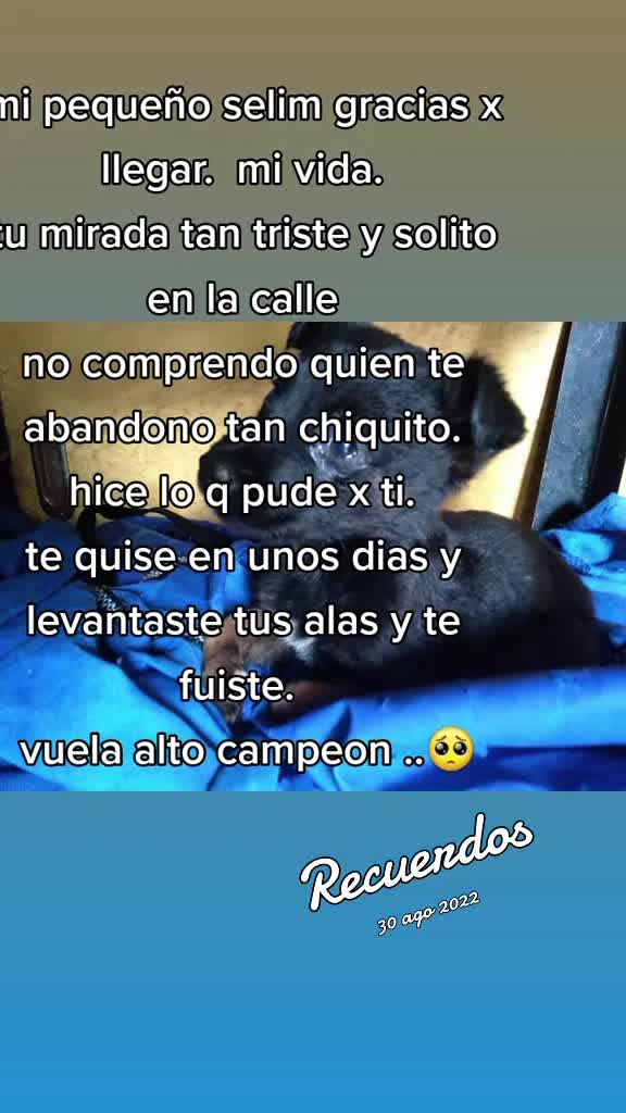 @Angela Aguirre