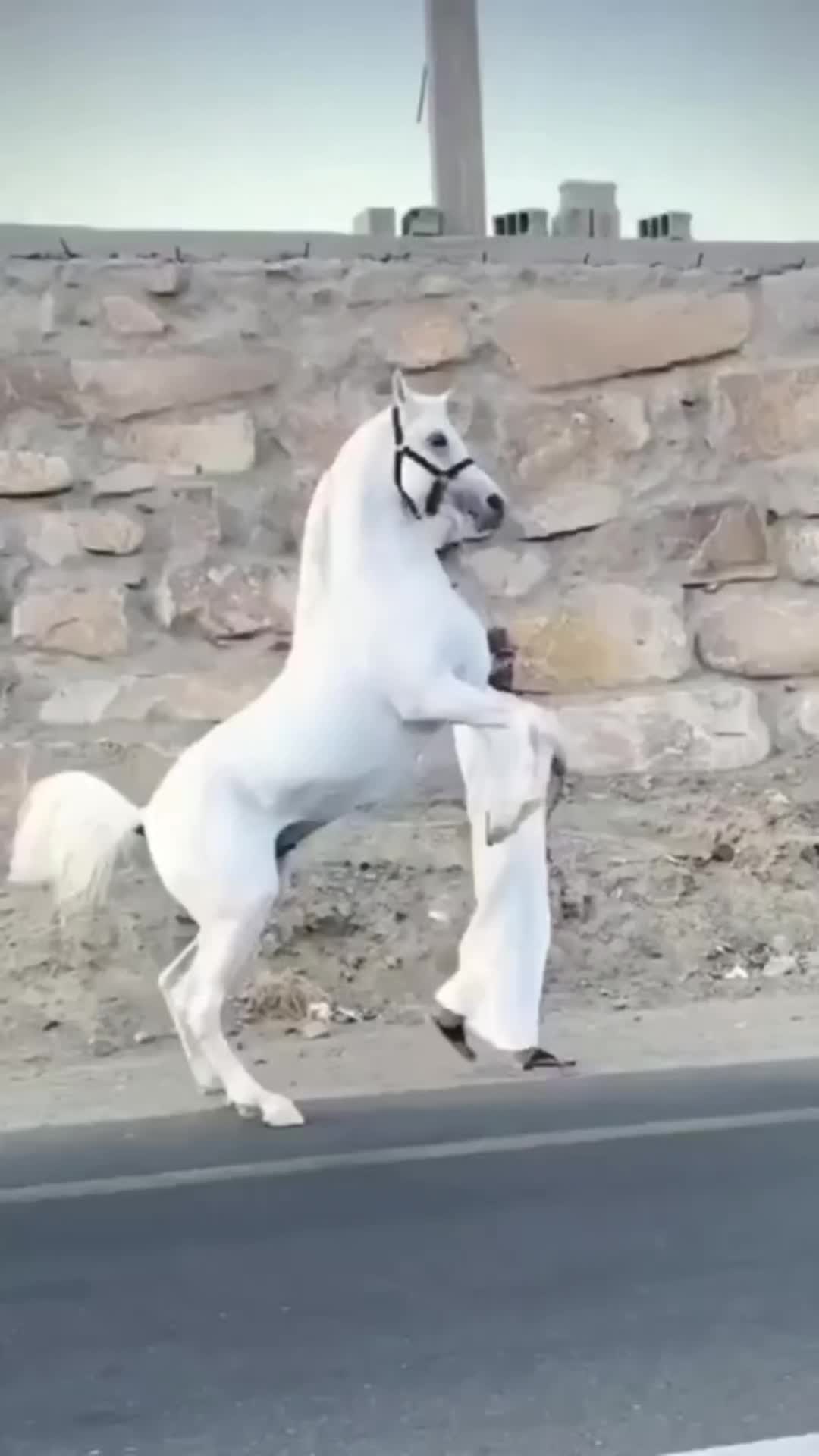@Валентина Гусева