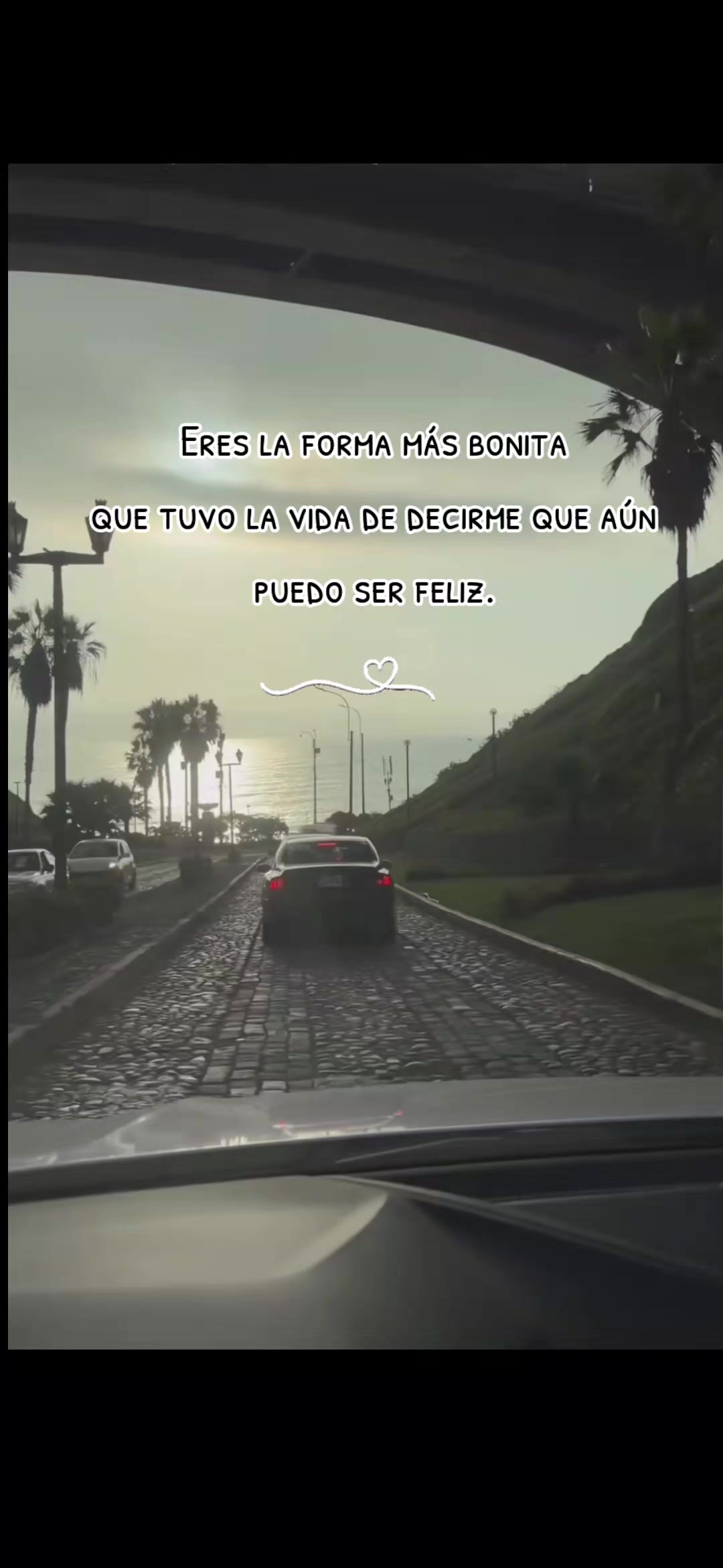 @vᴀɴᴇziitᴀ 🦋
