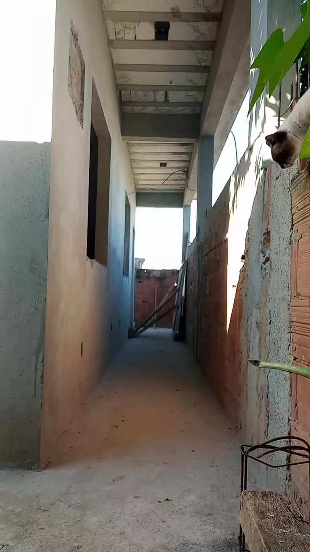 @Luciana dos Santos