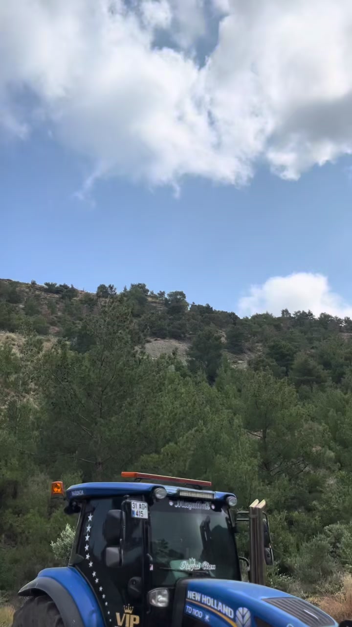@Danyel G&uuml;ler ☑️