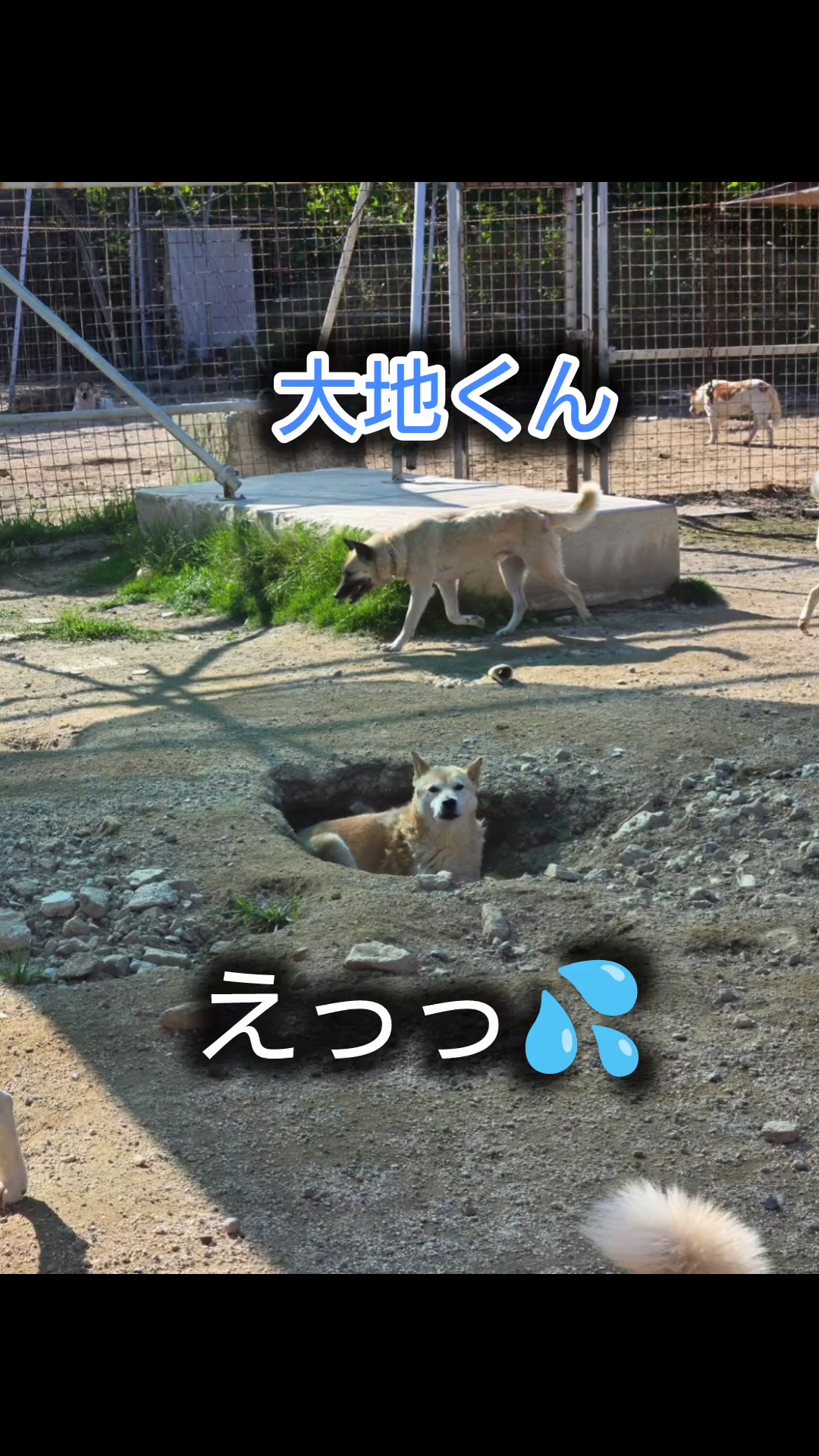 @まあくんハウス