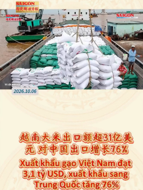 @西贡解放日报-Báo SGGP bản Hoa văn