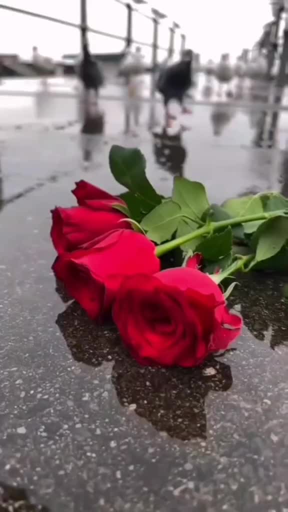 @ke&ccedil;a kurda