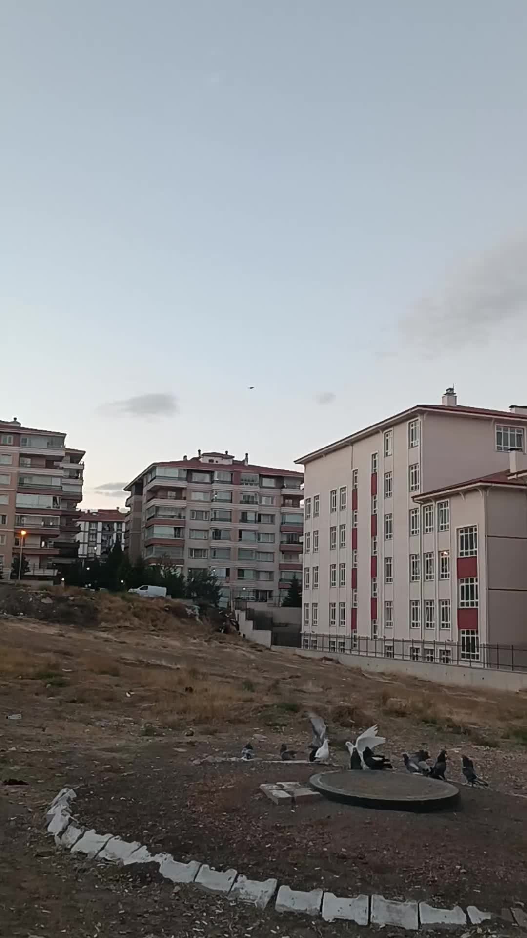 @E Sever06