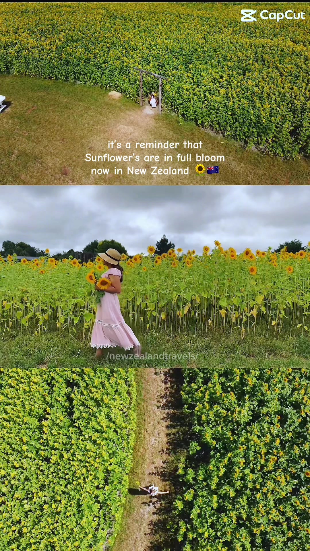 @Pinoy Traveller in New Zealand