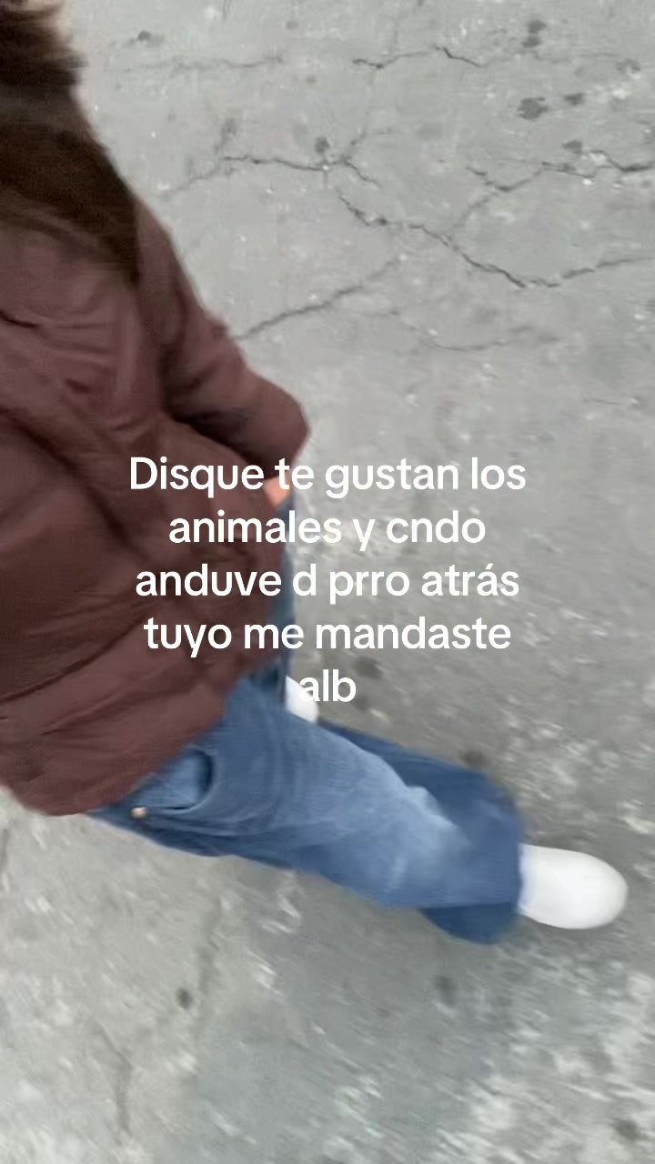 @🪼