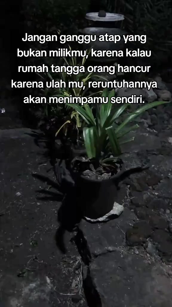 @Gepeng Sakti