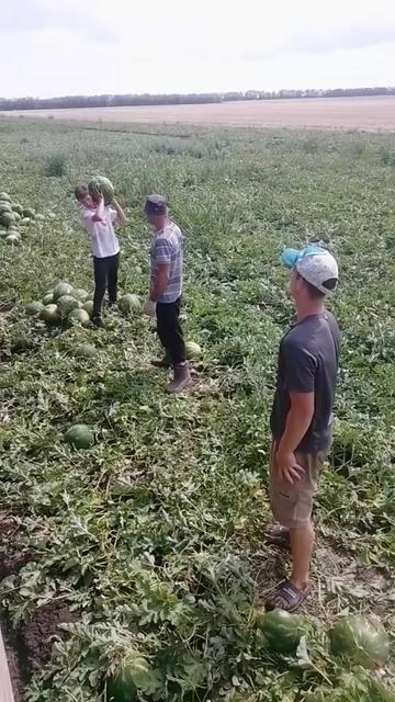 @ВІТАЛІЙ СЛІДЕНКО