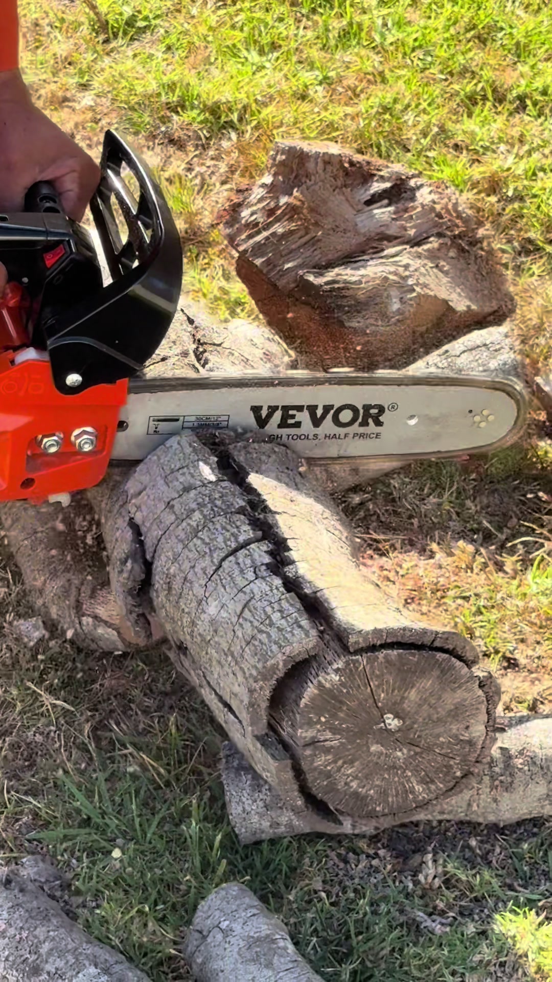 @Andrea