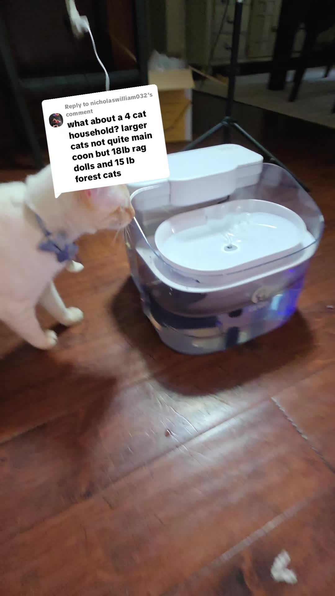 @SillyGoose