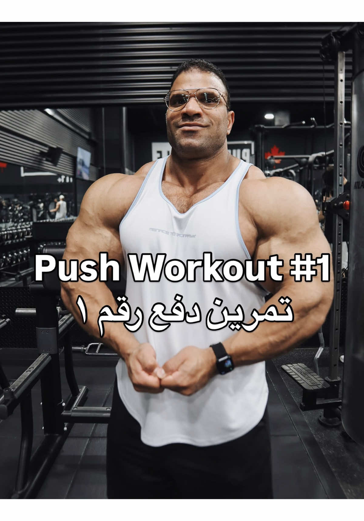 @Hassan Mostafa
