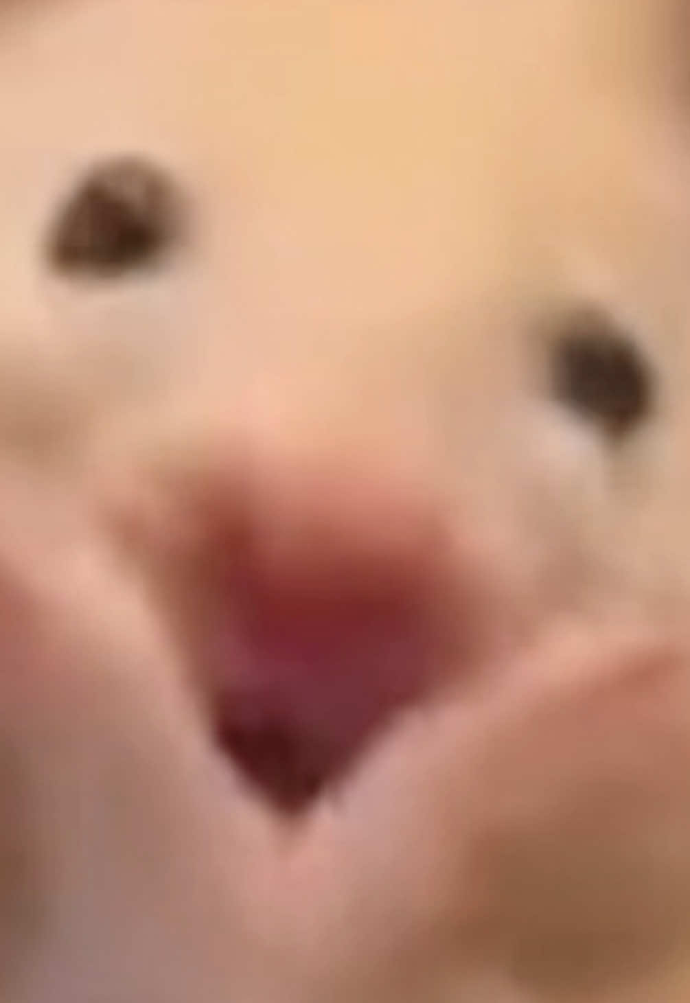 @FCham