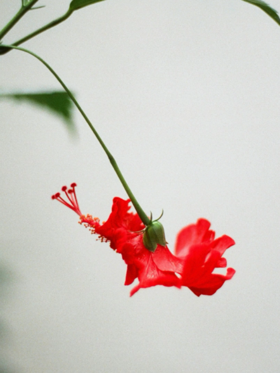 @theyearning.archive