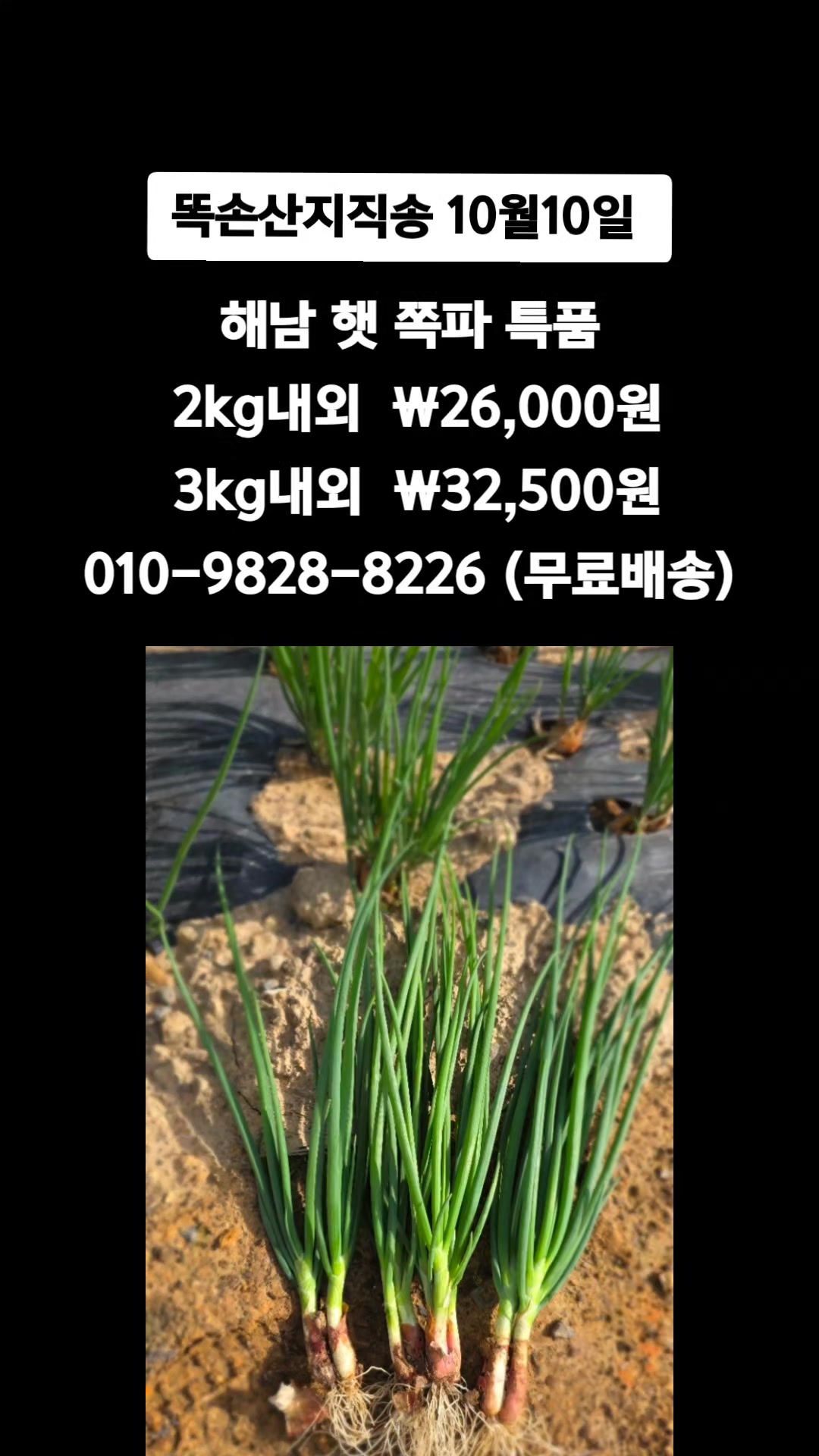 @똑손