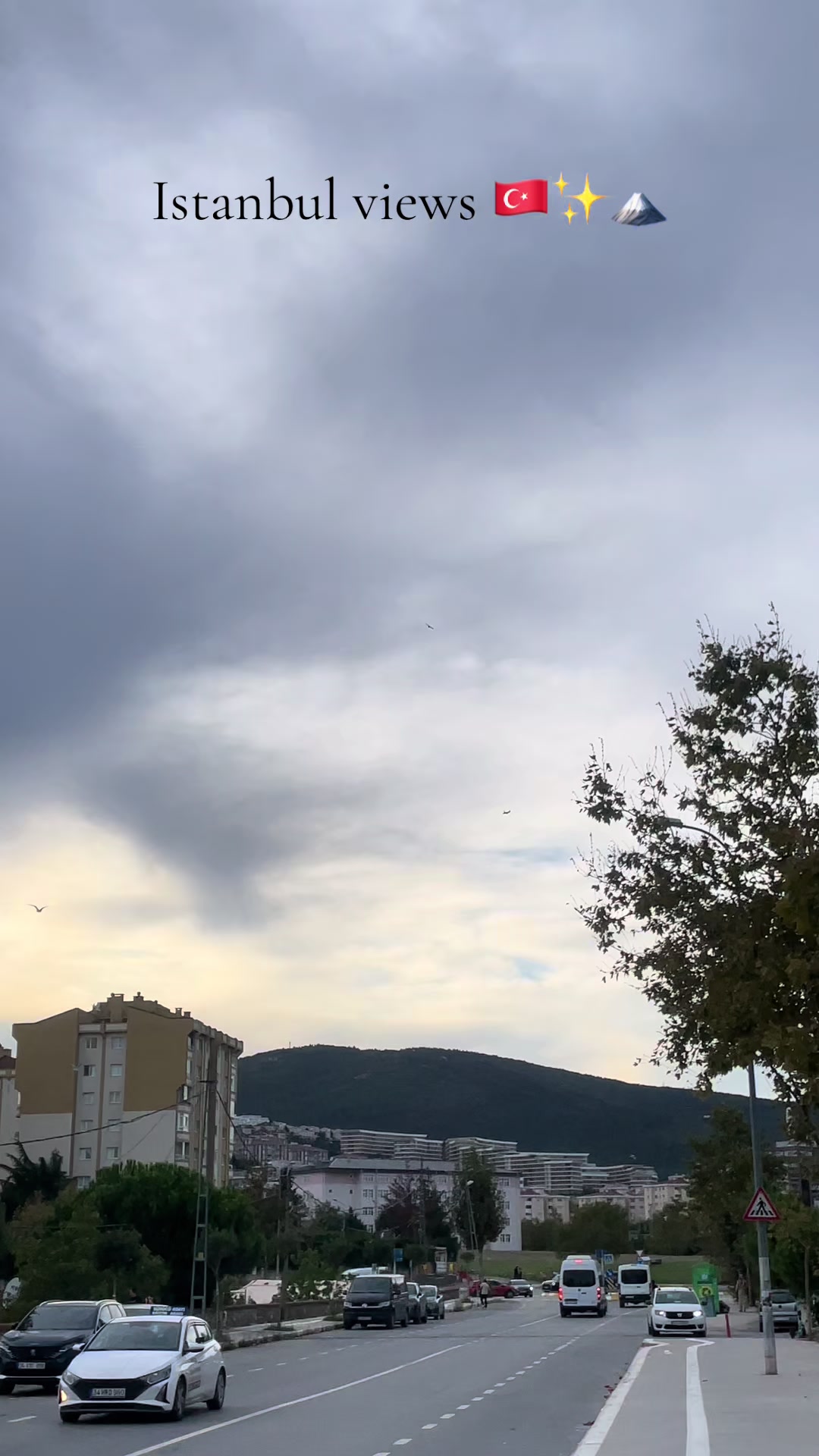 @Türkiye Diaries