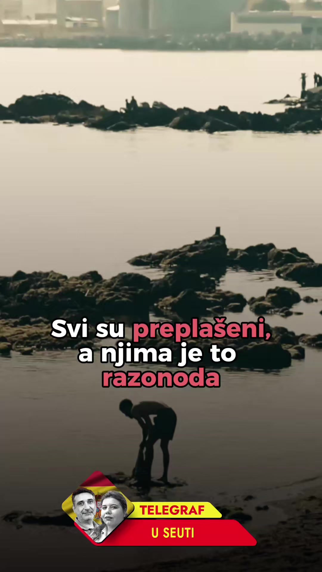 @telegrafrs