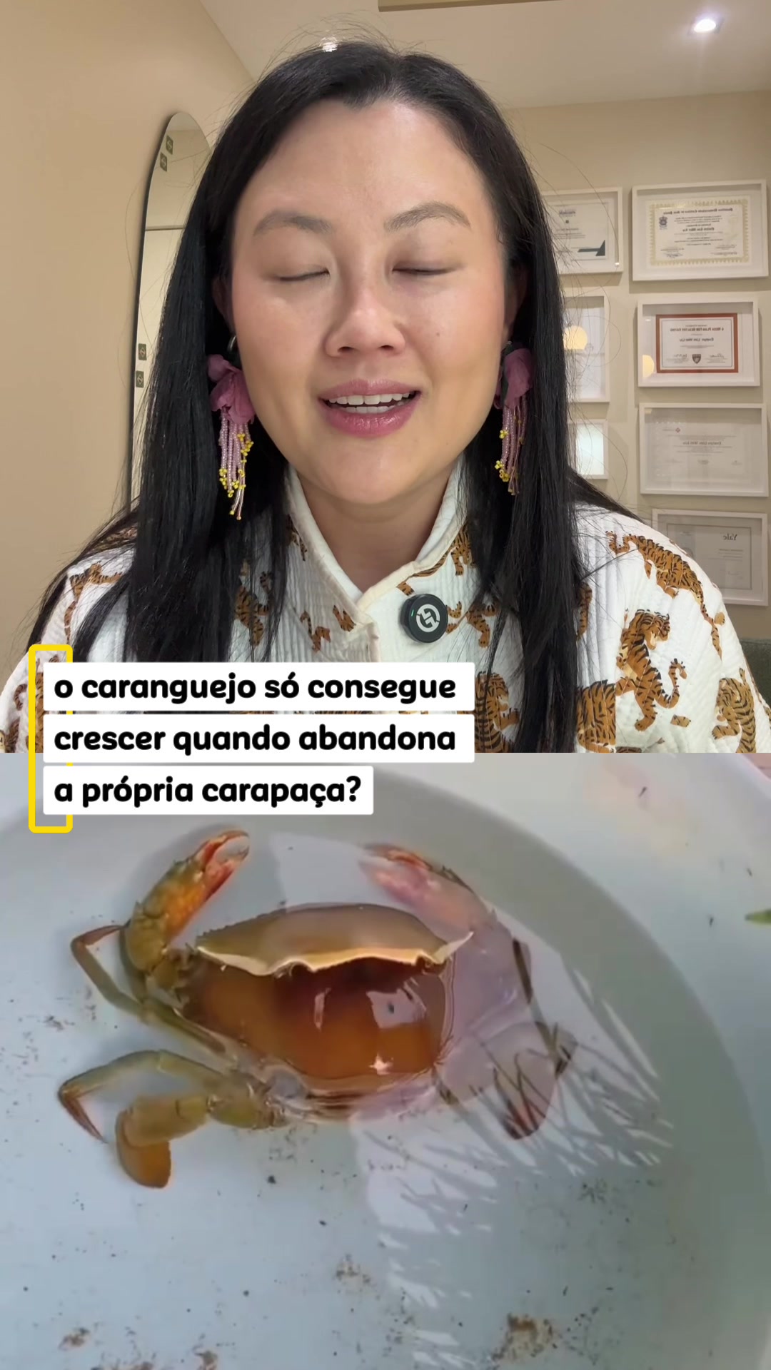 @Evelyn Liu