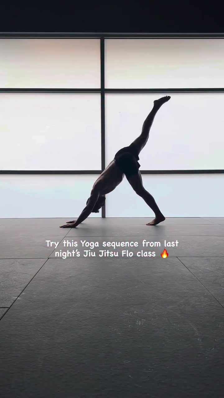 @Jiu Jitsu FLO