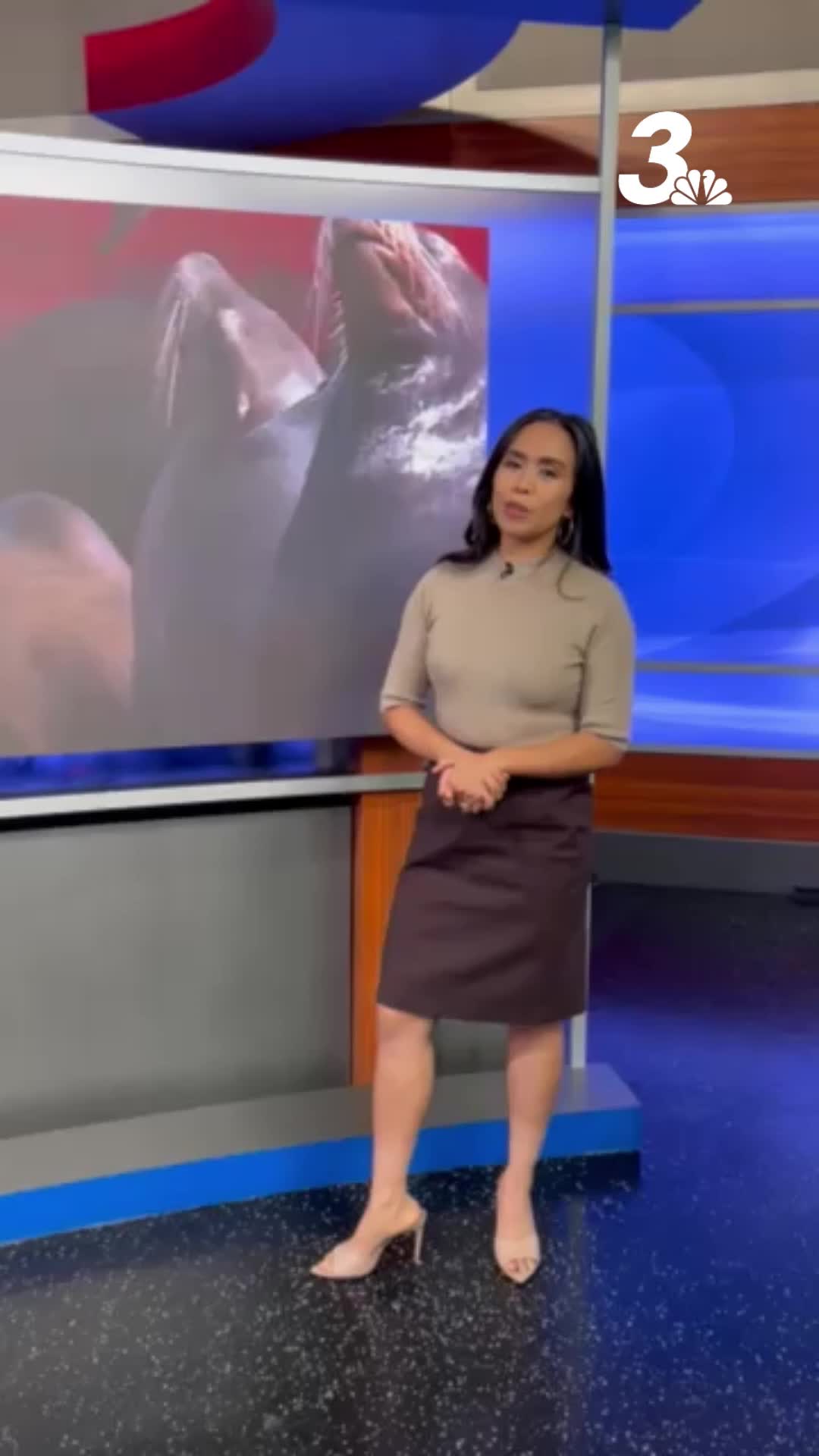 @KSNV News 3 Las Vegas