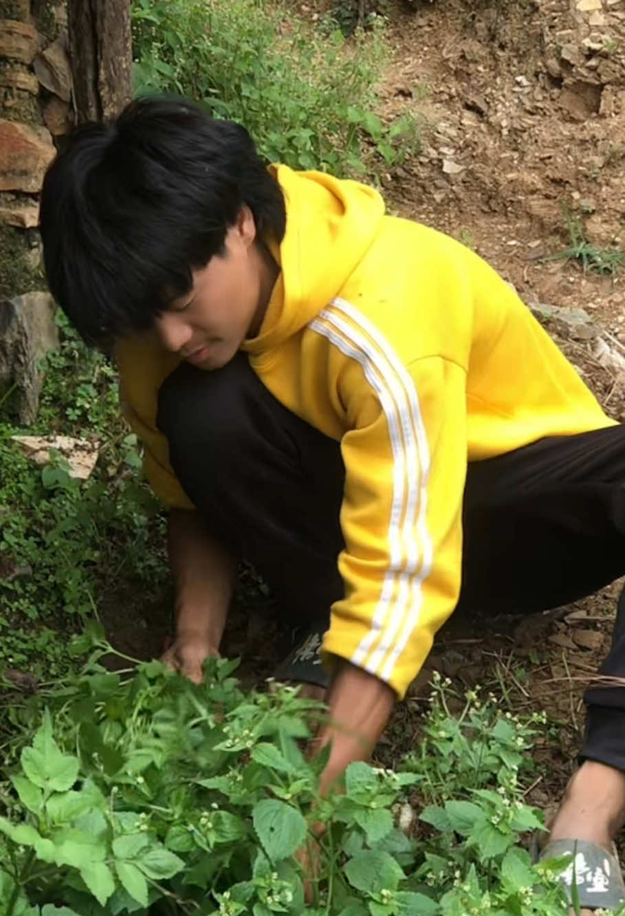 @लोकेश मगर🧿🌿