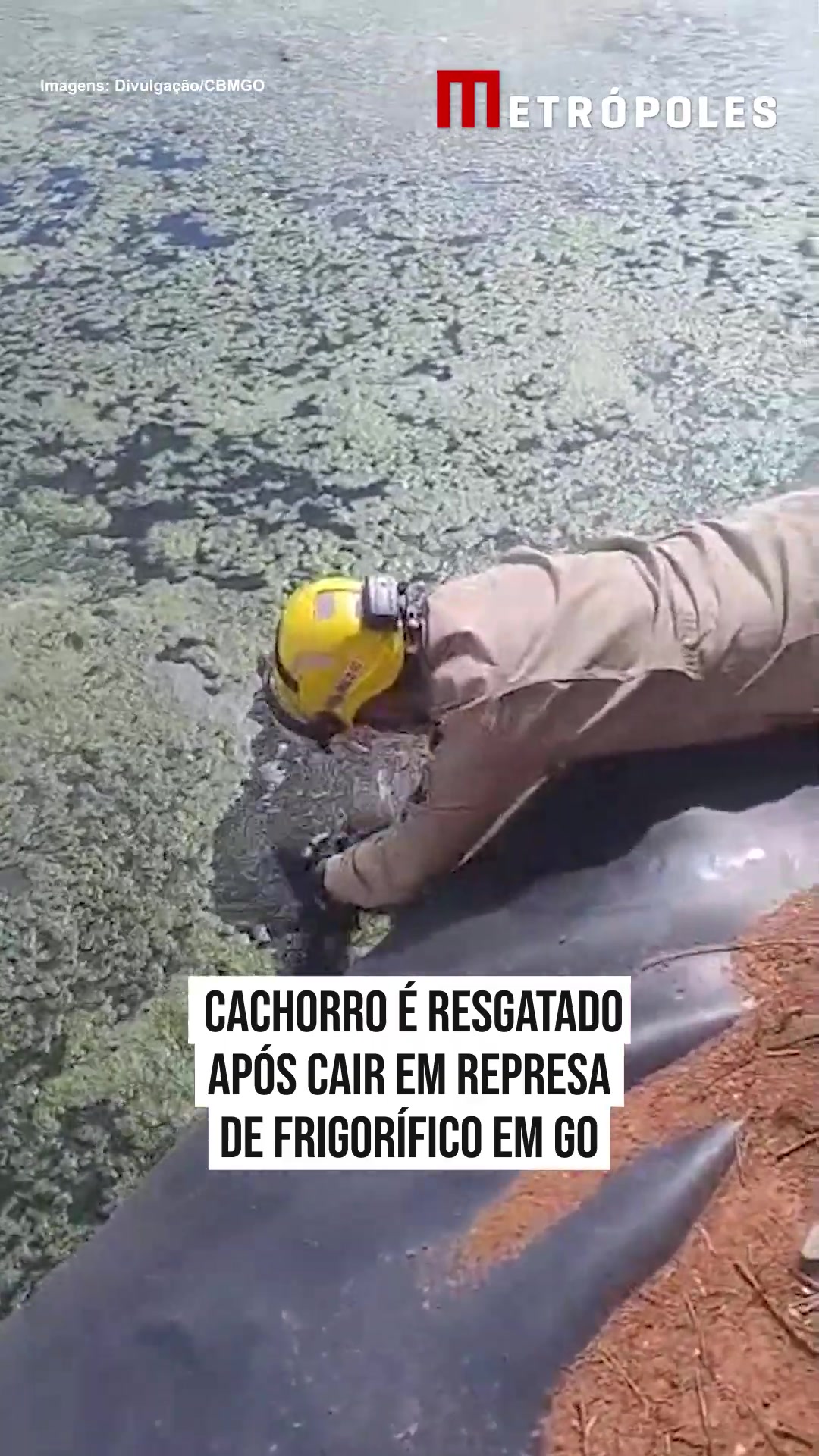 @Metr&oacute;poles Oficial
