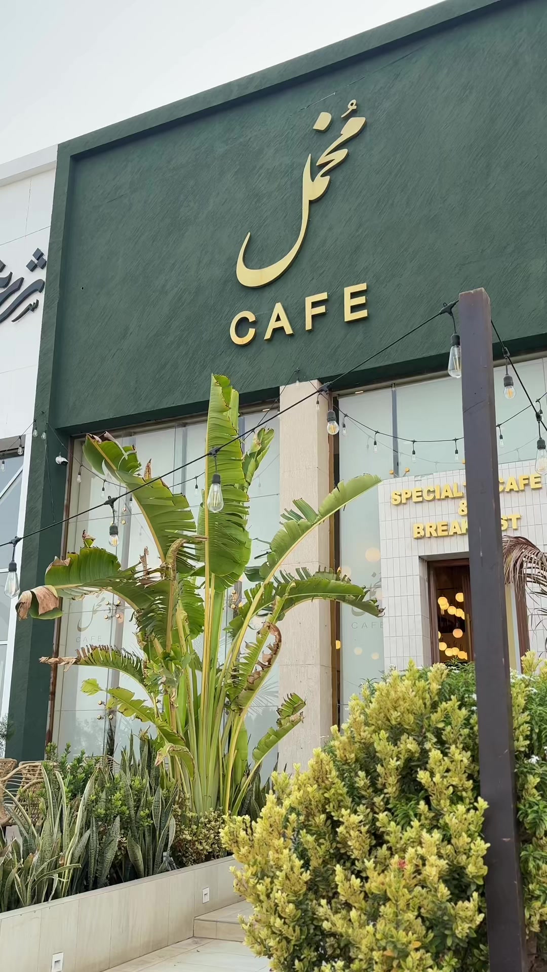@عقيله هتان