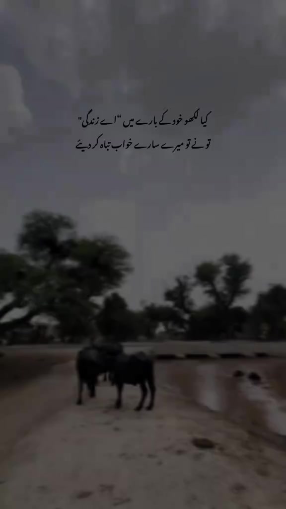 @𓂃𝐐𝐮𝐞ع𝐧֟⸙᭄👑