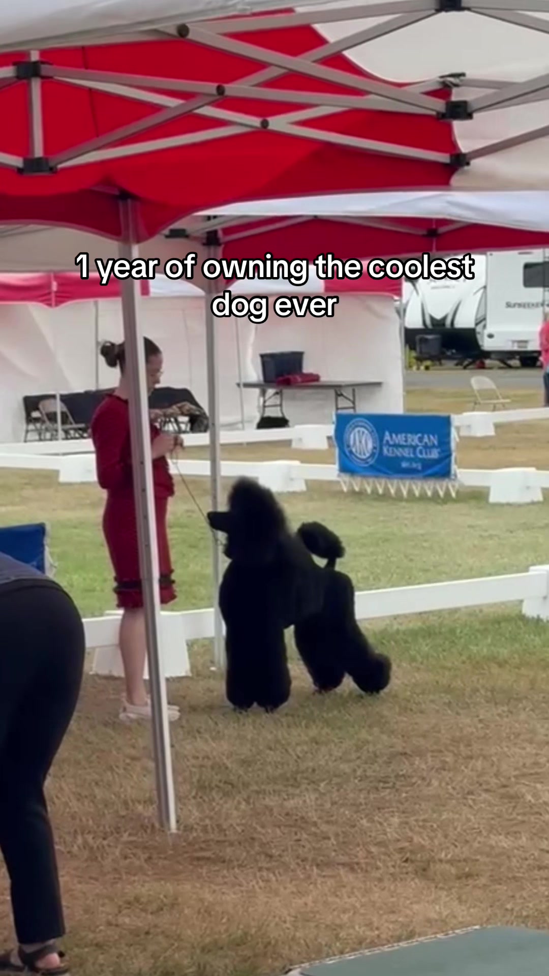 @Emmabelle + Poods 🐩🤍