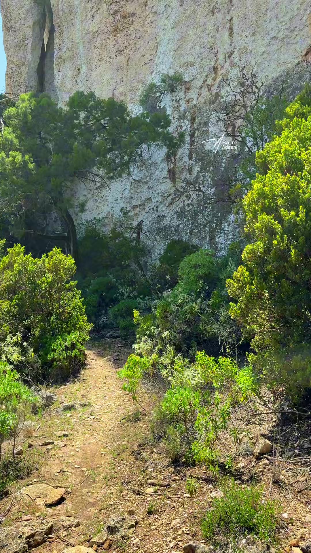 @Barre Adaani ๐ธ๐ด