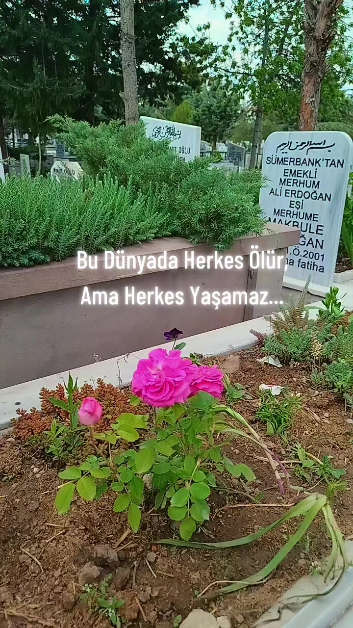 @Kendimce haller