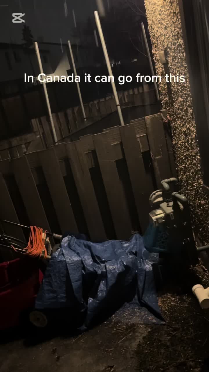 @Shaebaby003