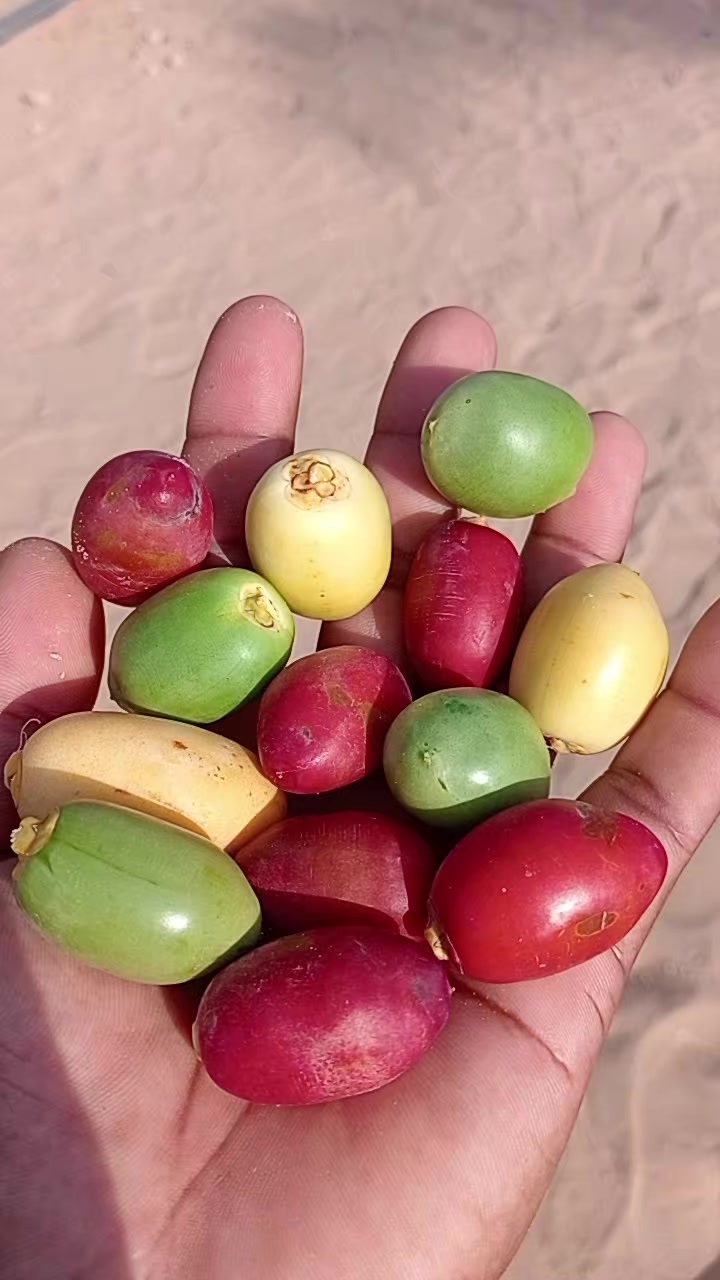 @আমিহীন দুনিয়া 😥😥😥☝️☝️000