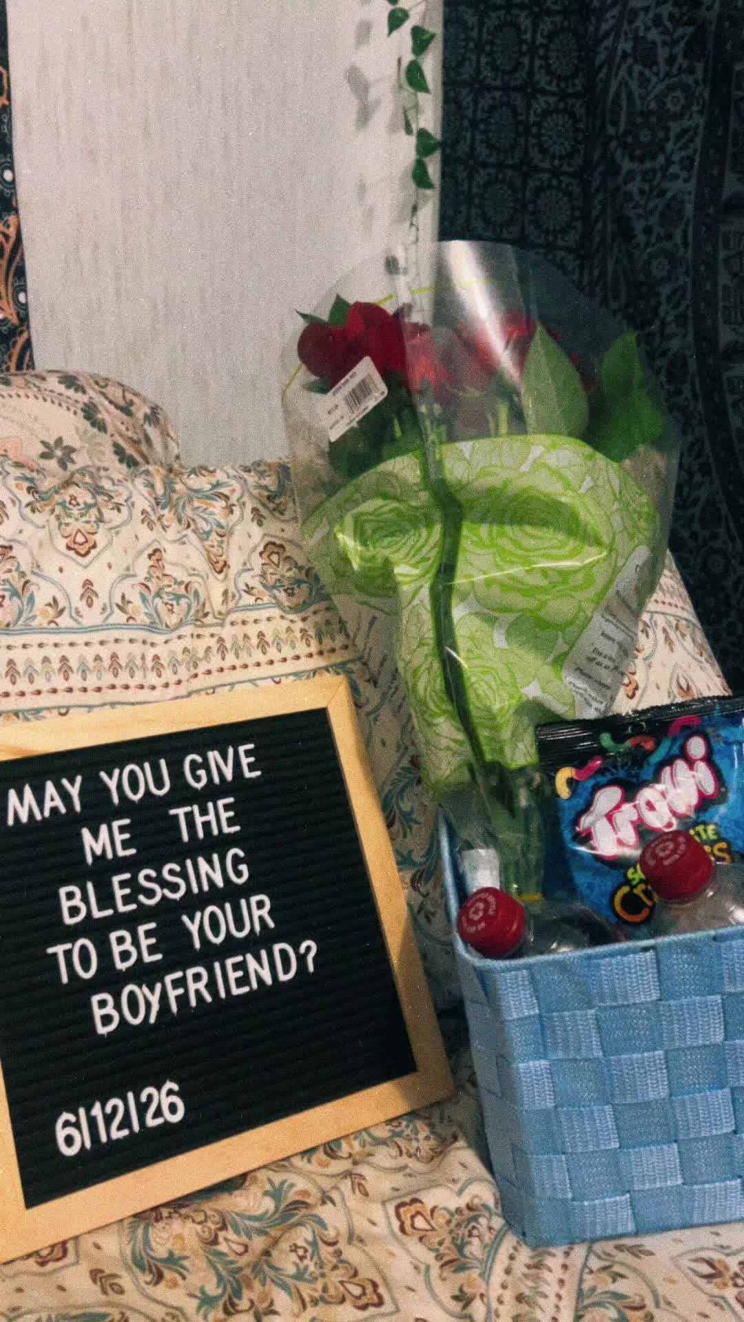 @layla🥳🥳