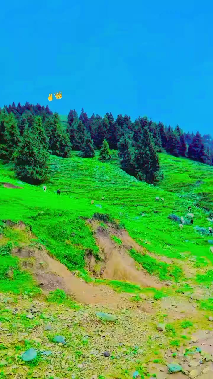 @😎عظمت اللّٰہ 🇨🇳🫣