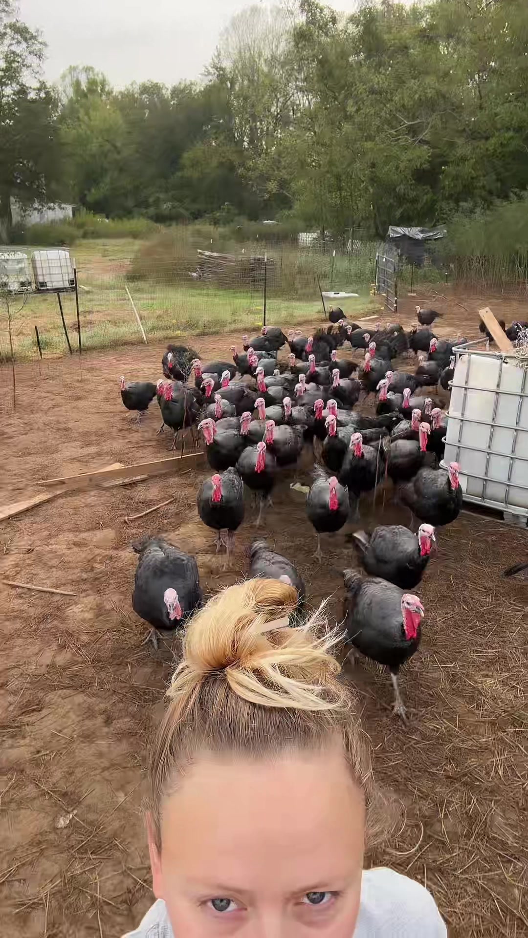 @farmerandtheharpiist
