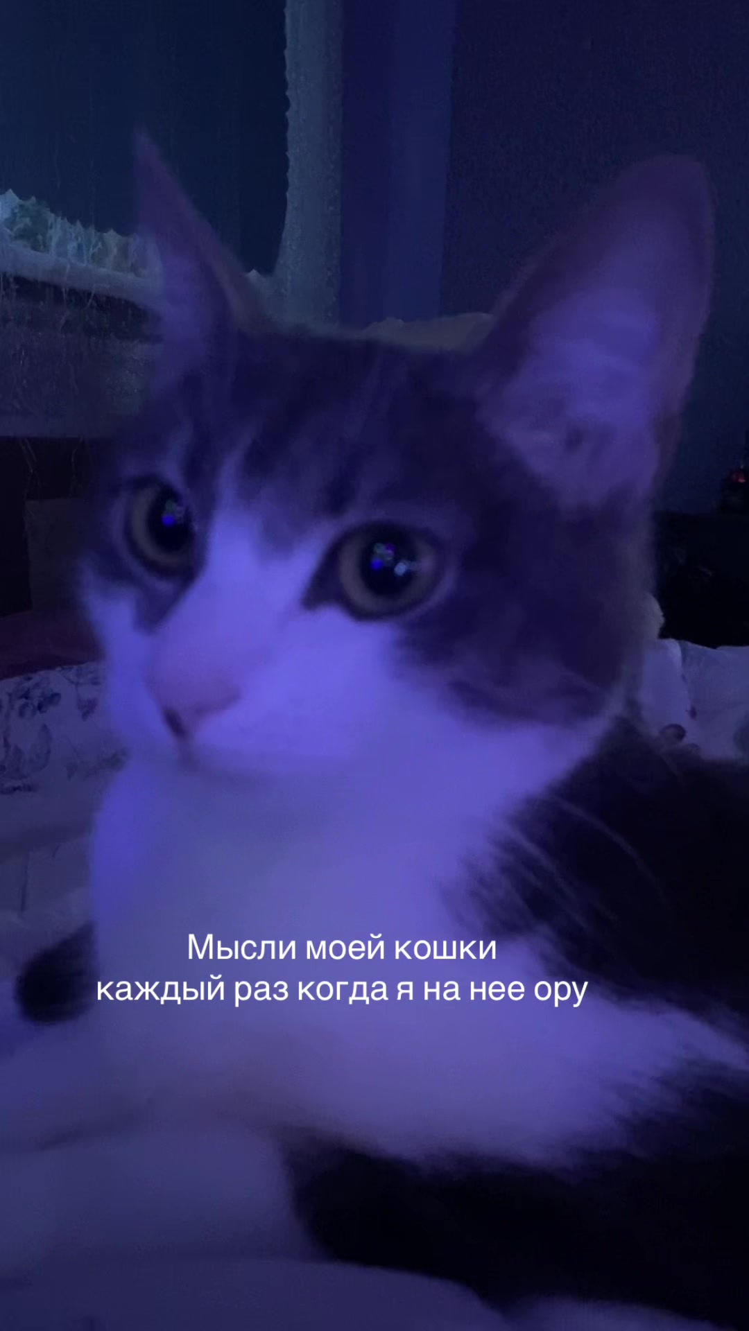 @_dashka__