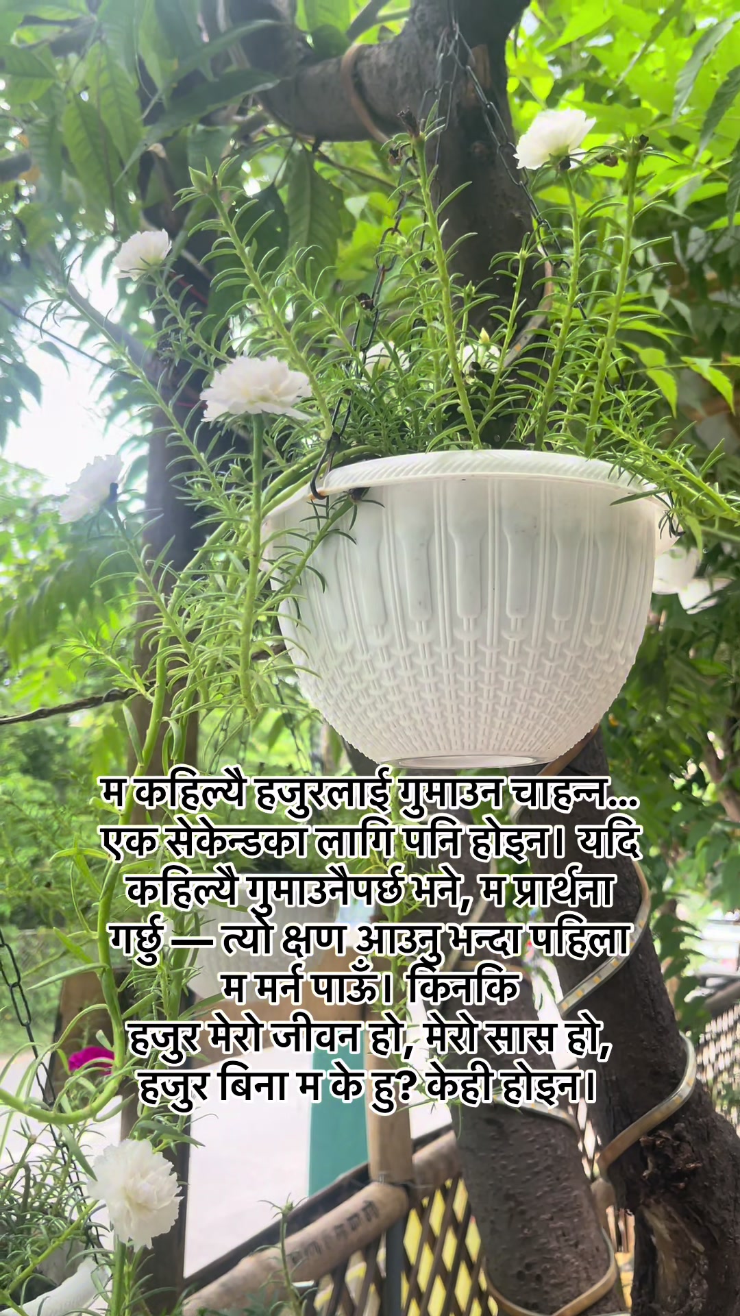@JayShreeKrishna