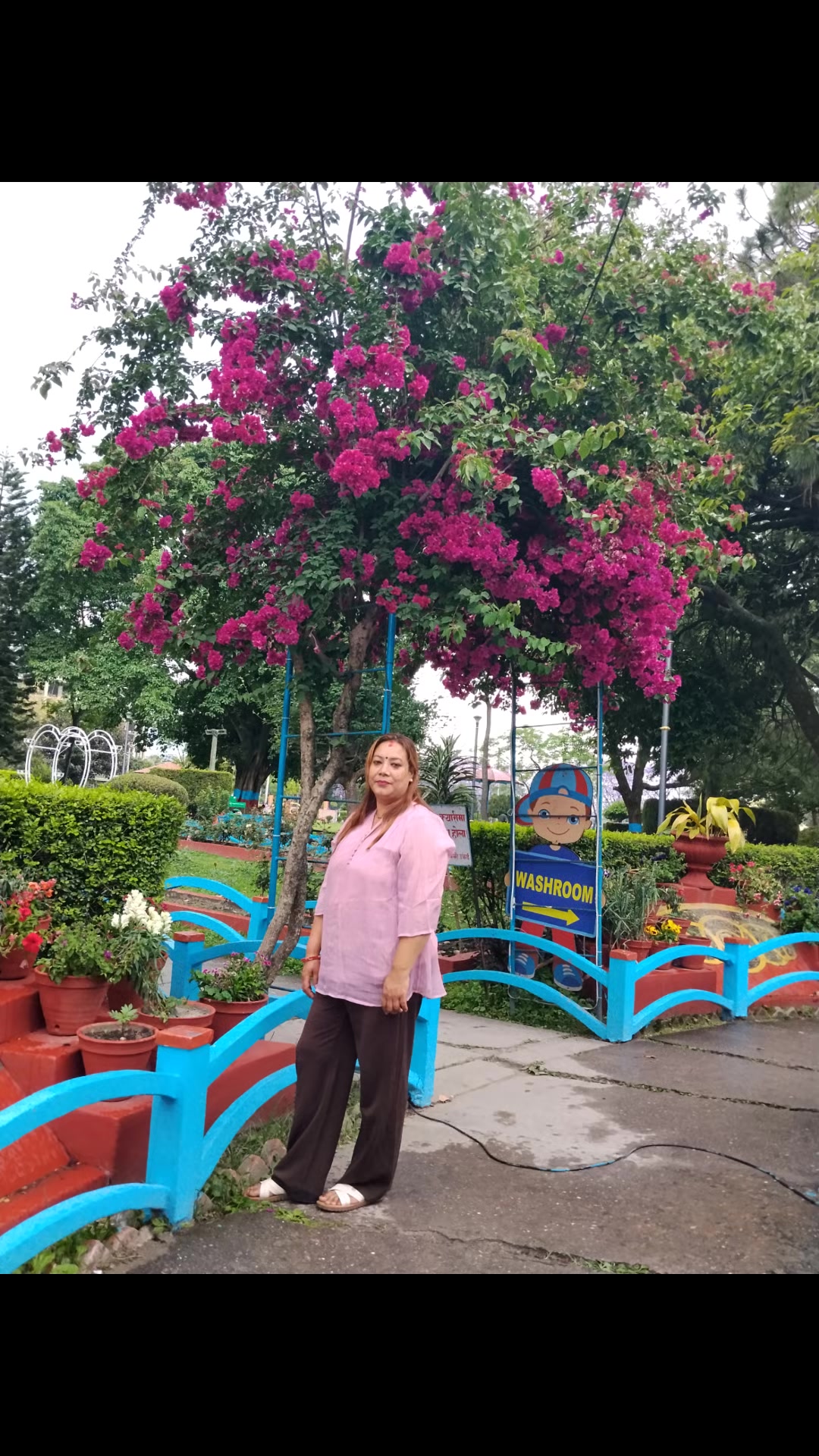 @sapana