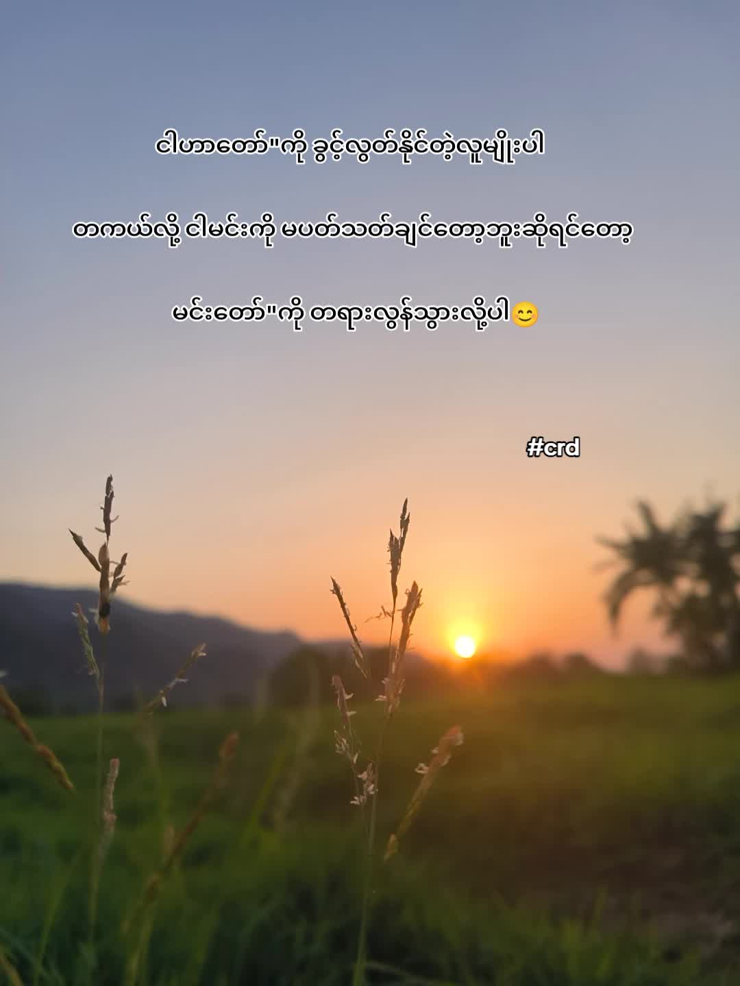 @🍃အမ်"Bi🍀