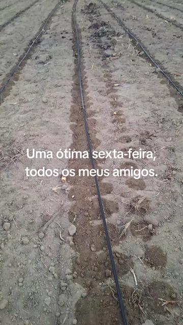 @francisco
