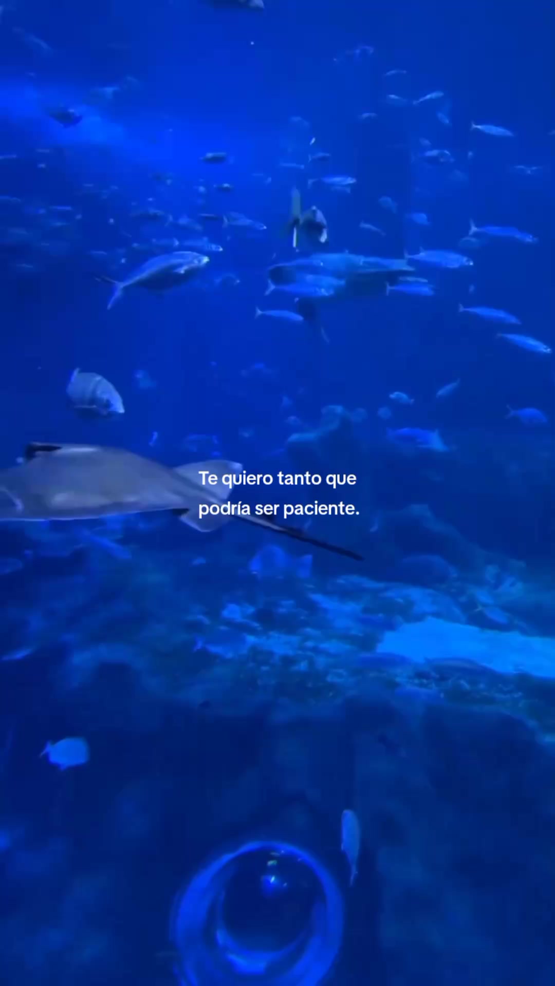 @Mariana