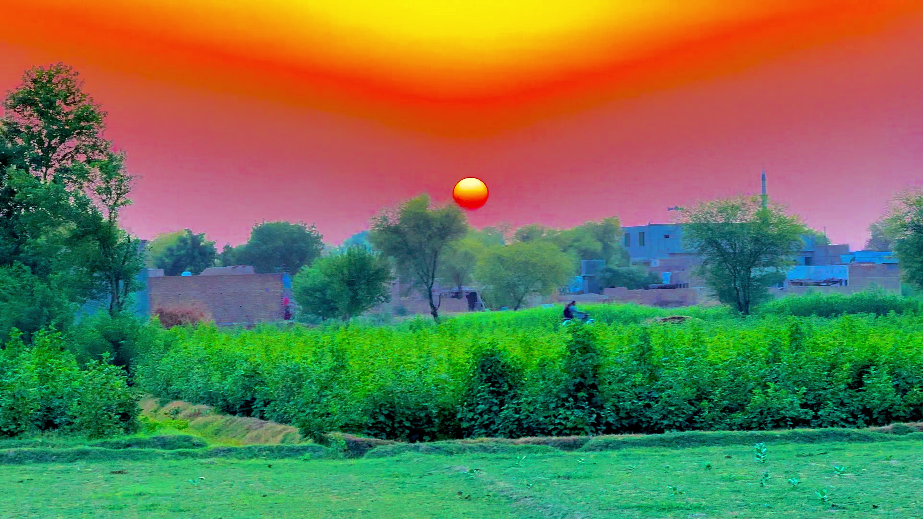 @🌾میں۔ میرا۔ پنڈ🎋