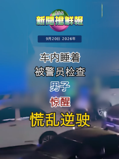 @中国报