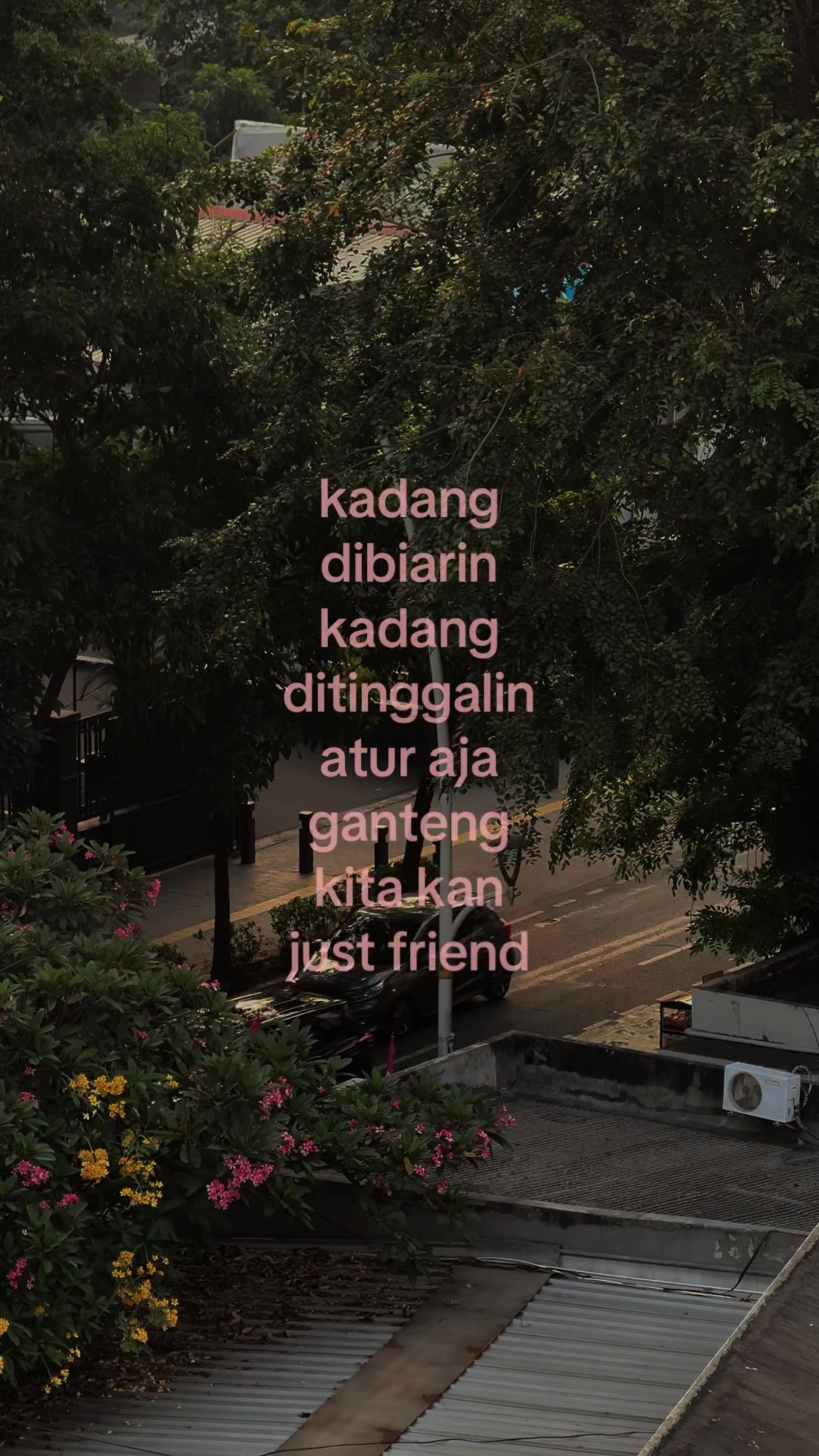 @๐๐ถ๐ฎ๐ป๐