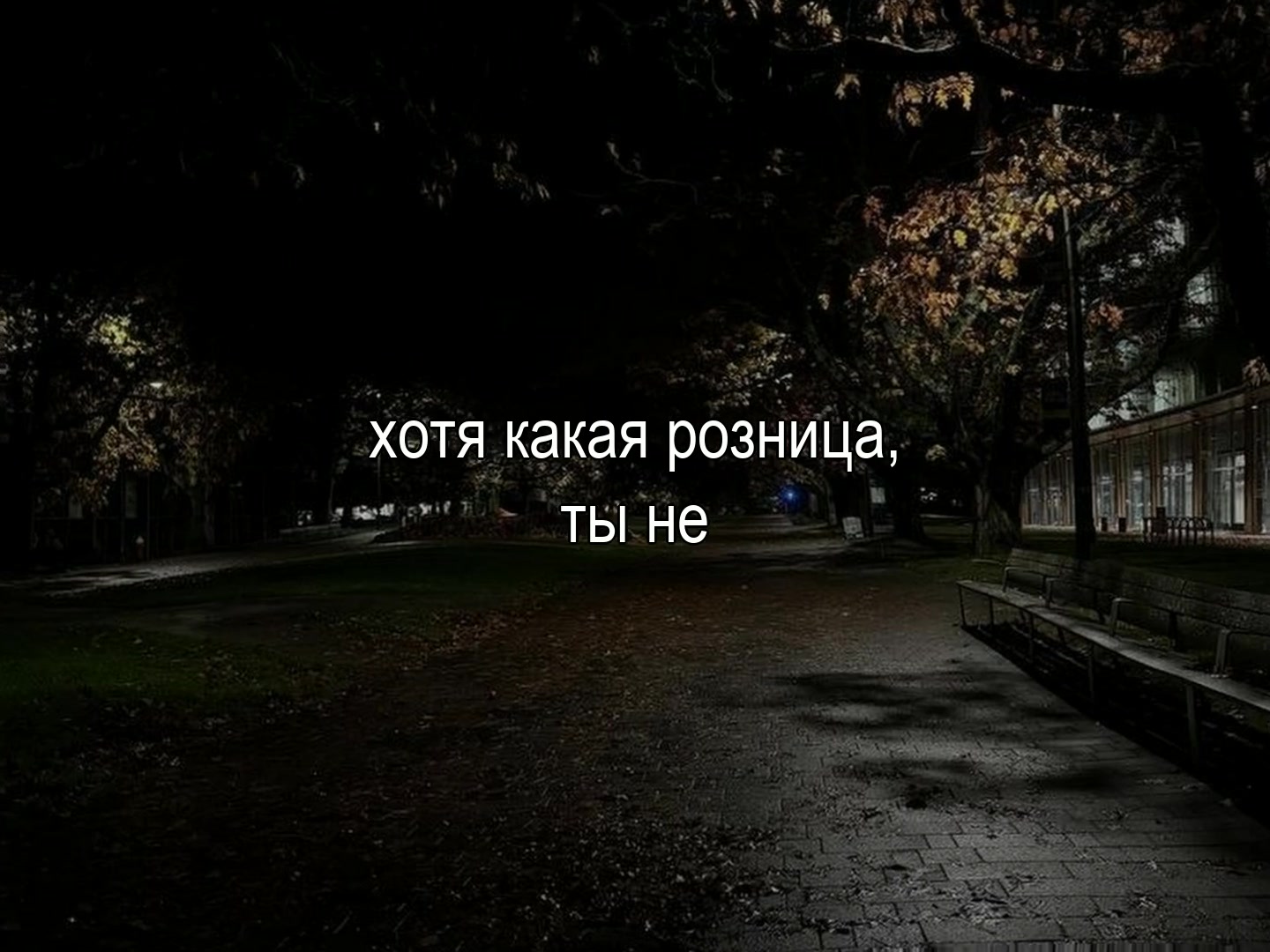 @SonicVibe/Music